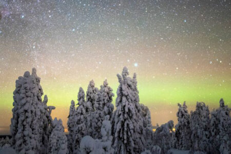 Arctic Giant's Aurora Birdhouse Adventure | Northern Lights Holiday Experts | Aurora Nights | Finnish Arctic Lakeland | Arctic Birdhouse Adventure