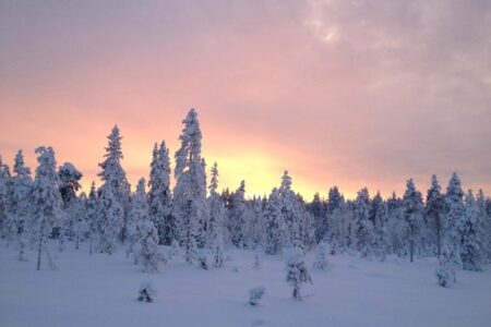 Ultimate Arctic Tour | Norway, Sweden and Finland | Snowmobiles Dog Sledding and The Ice Hotel