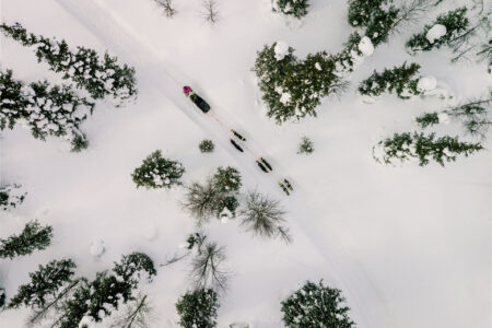 campripan-day3-huskysledding