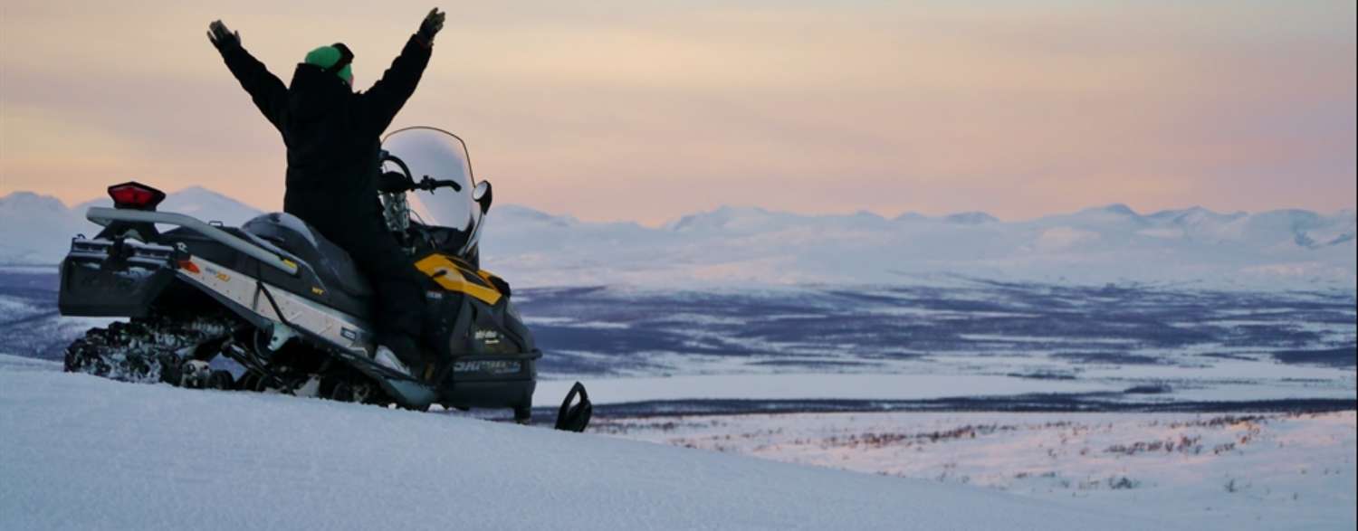 pic_term_exclusive_swedish