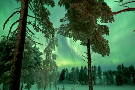 New App - Aurora Buddy: Never Miss the Magic of the Northern Lights Again!