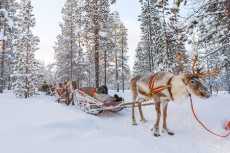 Which Tour Operators Specialise in Luxury Lapland Adventures?